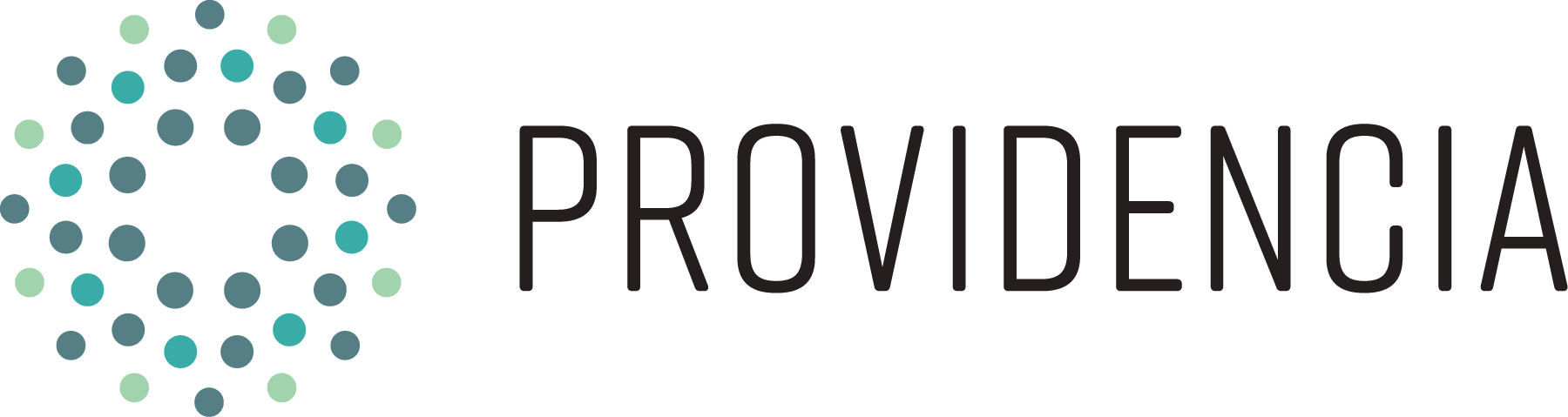 The Providencia Group